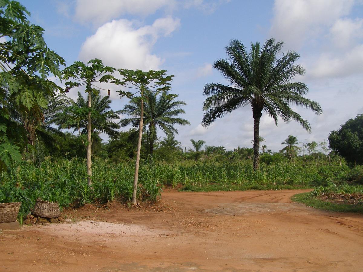 Chez Sabine Bed & Breakfast Abomey Luaran gambar